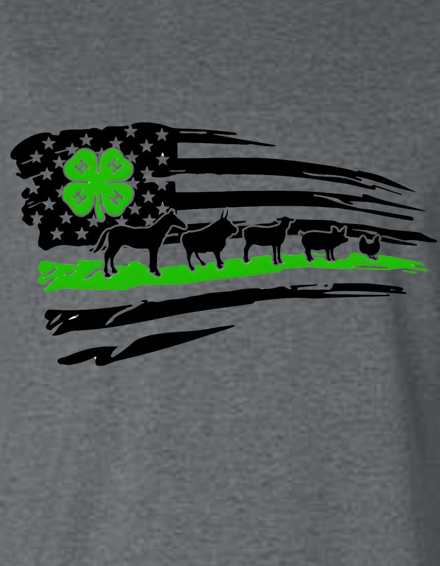 4-H Flag Hooded Sweatshirt